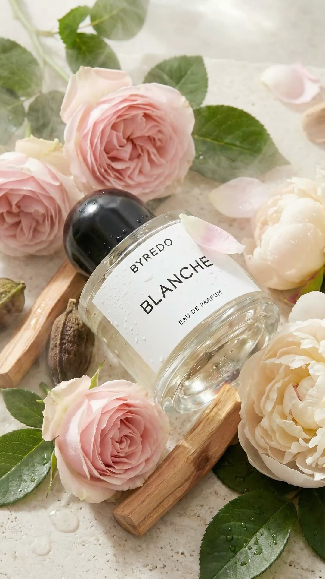 Blanche